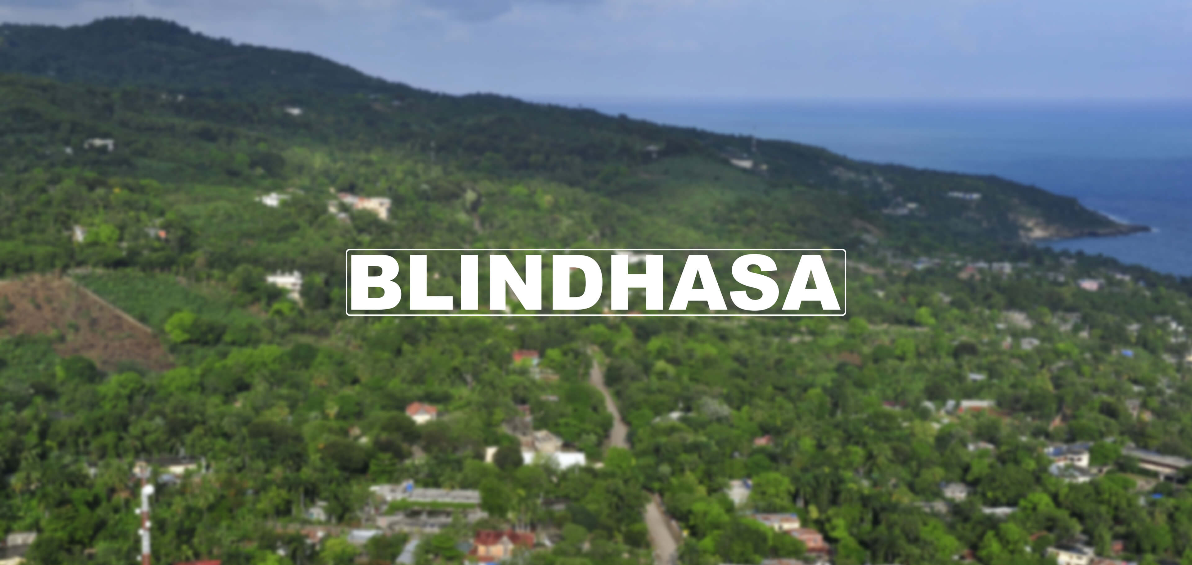 Blindhasa