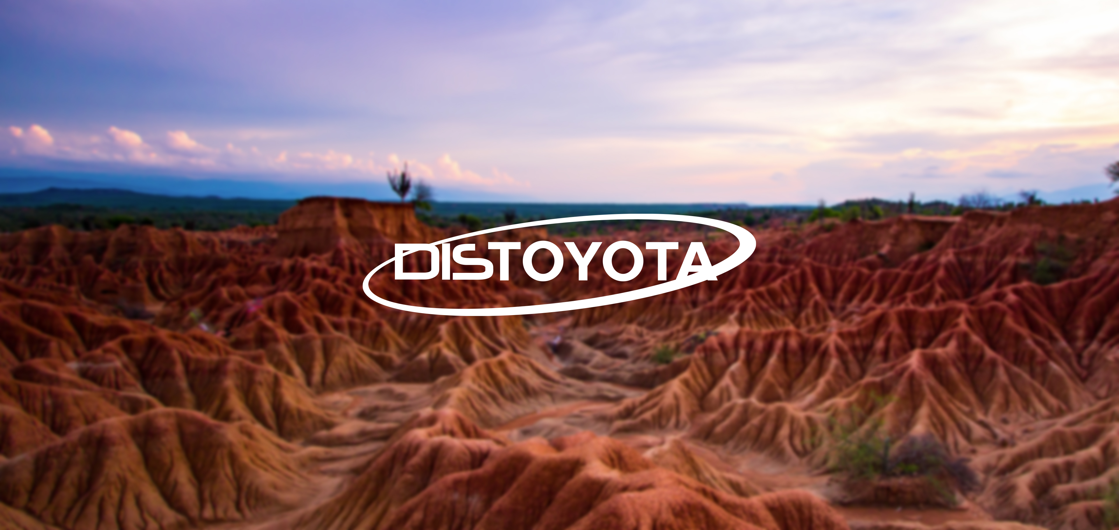 Distoyota – Tienda ARB