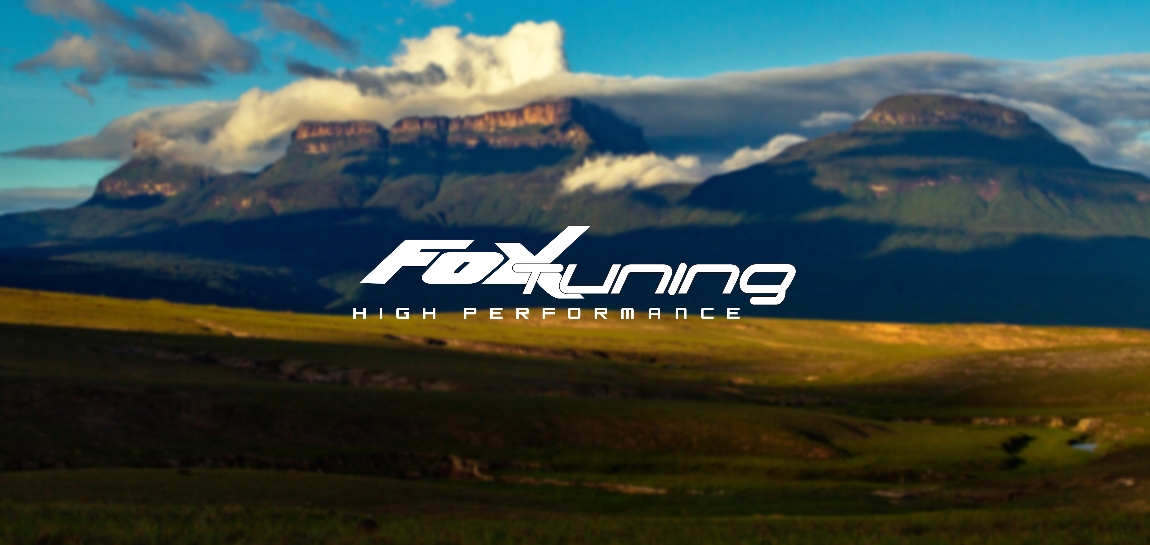 FOX TUNING
